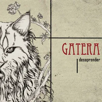 Desaprender by Gatera