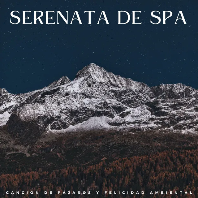 Serenata De Spa: Canción De Pájaros Y Felicidad Ambiental