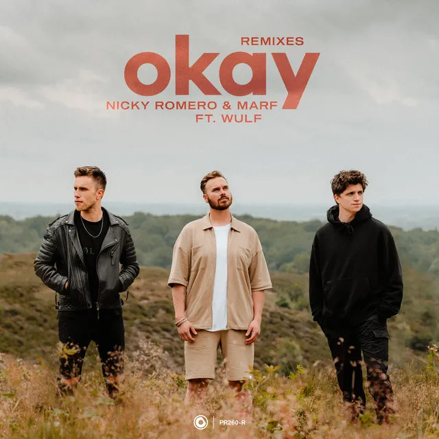 Okay - Toby Romeo Remix