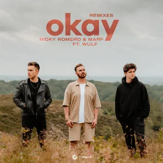 Okay (Remixes) by MARF