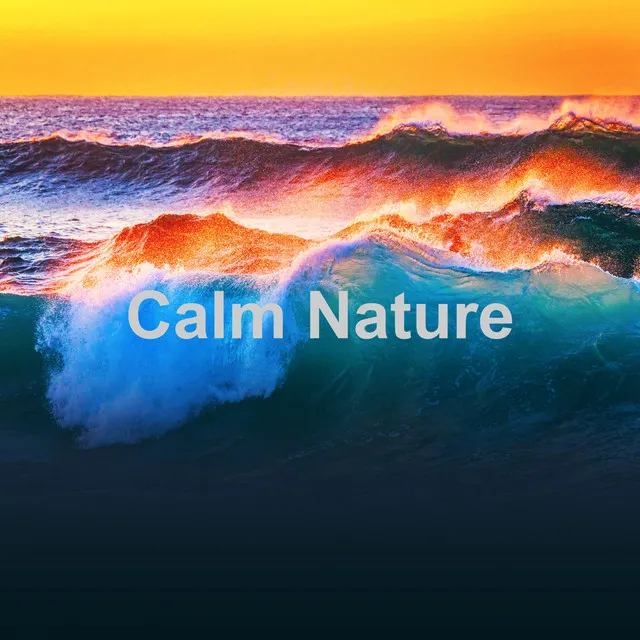 Calm Nature