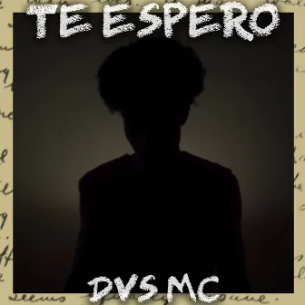 Te Espero by Dvs Mc