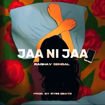 Jaa Ni Jaa by Raghav Sehgal