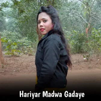 Hariyar Madwa Gadaye by 