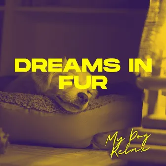 Dreams in Fur by My Dog Relax