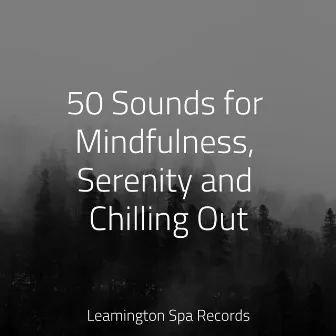 50 Sounds for Mindfulness, Serenity and Chilling Out by Unknown Artist