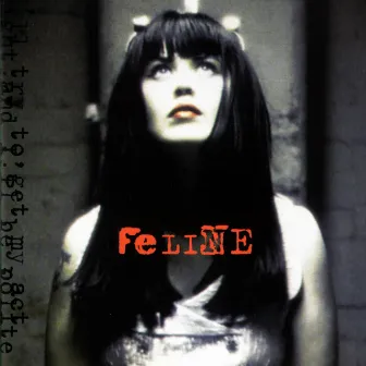 Feline by Feline