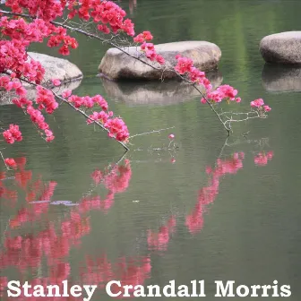 Serene Janine by Stanley Crandall Morris