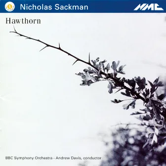 Sackman: Hawthorn by Nicholas Sackman