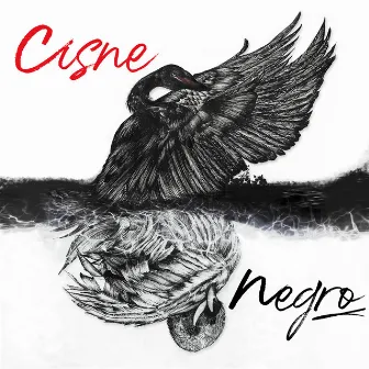 Cisne Negro by Jezzy P