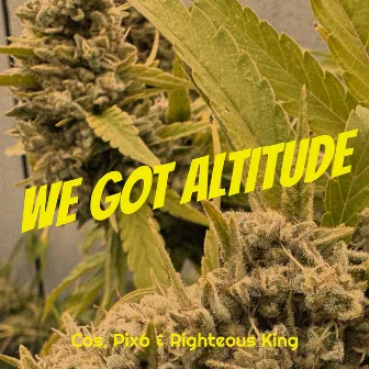 We Got Altitude by Righteous King