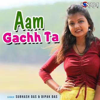 Aam Gachh Ta by Dipak Das