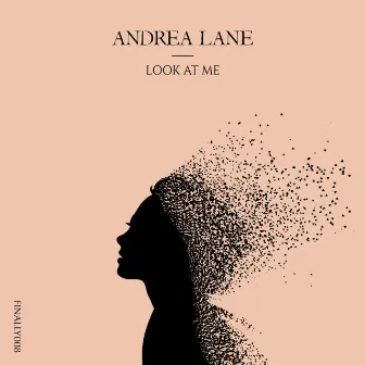 Look At Me by Andrea Lane