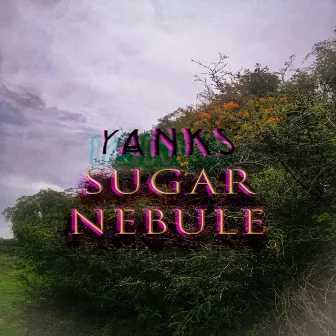 Sugar nebule by Yanks