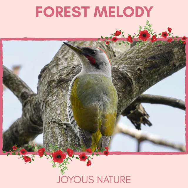 Melodious Bird Songs