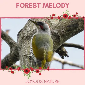 Forest Melody - Joyous Nature by Nature Radiance Project