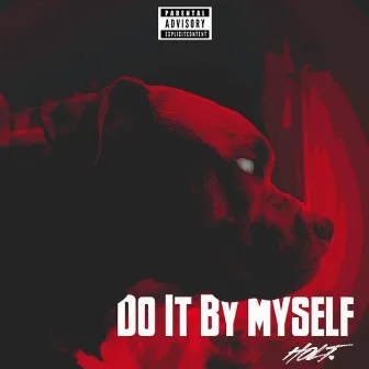 Do It by Myself by Holt