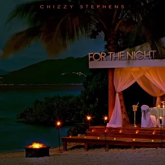 For the Night by Chizzy Stephens