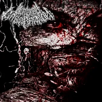 Skinned And Defleshed by Scalpel Castration