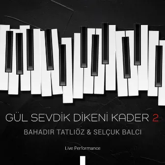 Gül Sevdik Dikeni Kader (Live Performance) by Selçuk Balcı