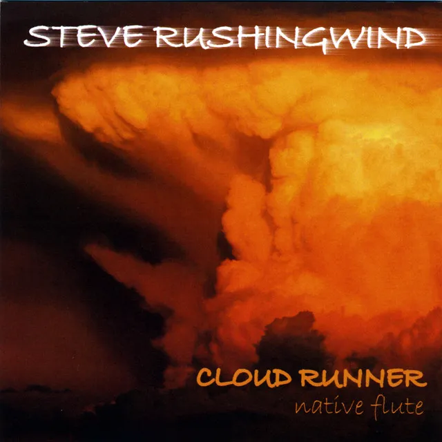 Cloud Runner