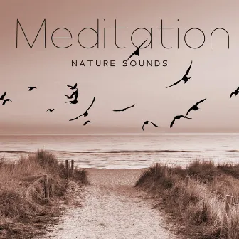 Meditation Nature Sounds: Rain Sounds, Storm, River, Forest & Birds, Sea Waves, Waterfall by Nature Zone