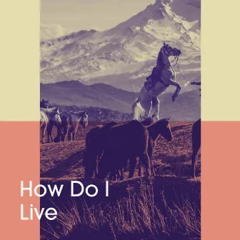 How Do I Live by Unknown Artist