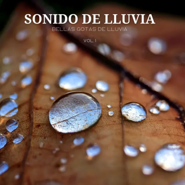 Lluvia Torrencial Ambiente De Sueño Profundo Toda La Noche