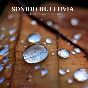 Sonido De Lluvia: Bellas Gotas De Lluvia Vol. 1 by Aguas Pura