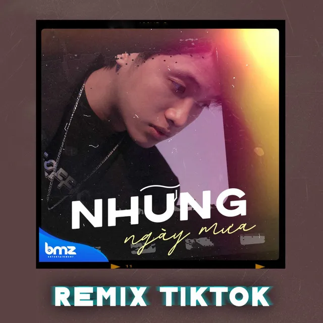 Những Ngày Mưa (Remix Version)