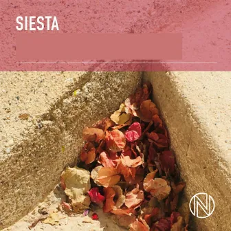 Siesta by Charlie Laffer