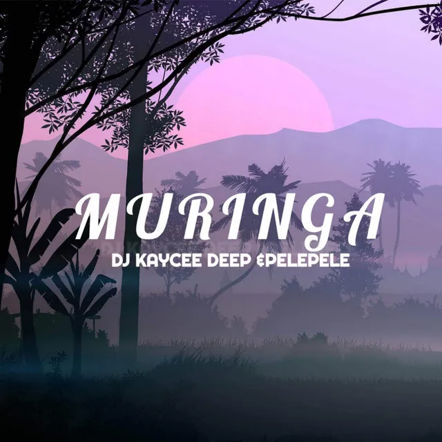 Muringa