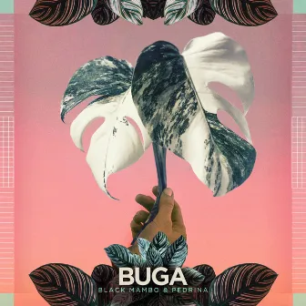 BUGA by Black Mambo