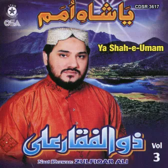 Ya Shah-e-Umam, Vol. 3 by Zulfiqar Ali