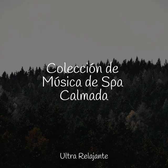 Colección de Música de Spa Calmada