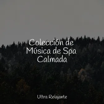 Colección de Música de Spa Calmada by Musica Meditaction