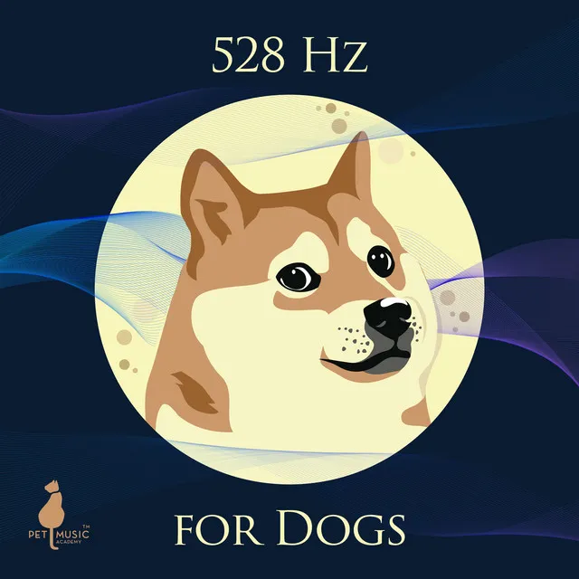 528 Hz for Dogs: Healing Frequency Music for Animals and Humans, Nature Sounds for Sleepy Time