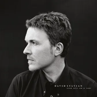 Dead Bees On A Cake (Deluxe Edition) by David Sylvian