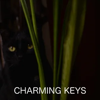 Charming Keys by Golden Keys