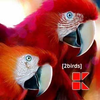 2BIRDS by HEIN+KLEIN