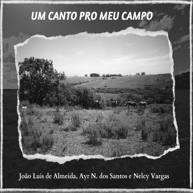 Um Canto pro Meu Campo