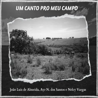 Um Canto pro Meu Campo by Nelcy Vargas