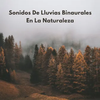 Sonidos De Lluvias Binaurales En La Naturaleza by Ambiente De Lluvia