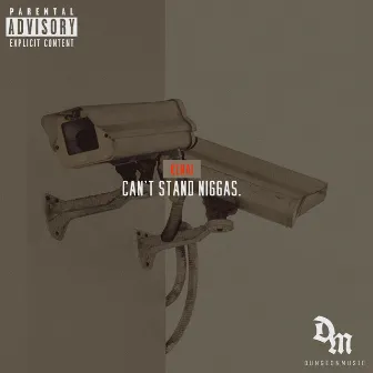 Can't Stand Niggas. by Kenai