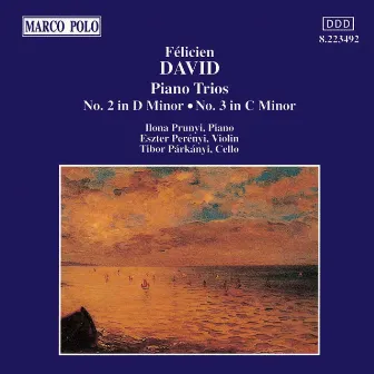 David: Piano Trios Nos. 2 and 3 by Eszter Perényi