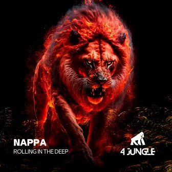 Rolling In The Deep by Nappa