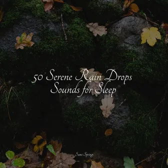 50 Serene Rain Drops Sounds for Sleep by Ambientalism