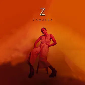 Z vs Z by Zamaera