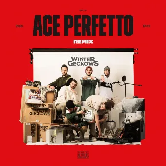 Ace Perfetto (RMX) by Winter Geckows