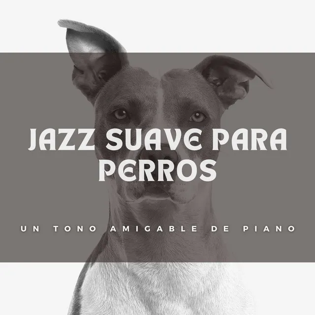 Ritmos De Jazz Para Perros